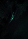 VampireDiariesWorld-dot-nl_7x02NeverLetMeGo0150.jpg