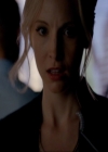 Filename=VampireDiariesWorld-dot-nl_7x02NeverLetMeGo2257.jpg
Filesize=130KiB
Dimensions=720x576
Date added=Nov 10, 2016 VampireDiariesWorld-dot-nl_7x02NeverLetMeGo2257.jpg