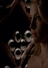 VampireDiariesWorld-dot-nl_7x06BestServedCold1203.jpg