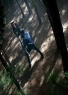 VampireDiariesWorld-dot-nl_7x07MommieDearest0940.jpg