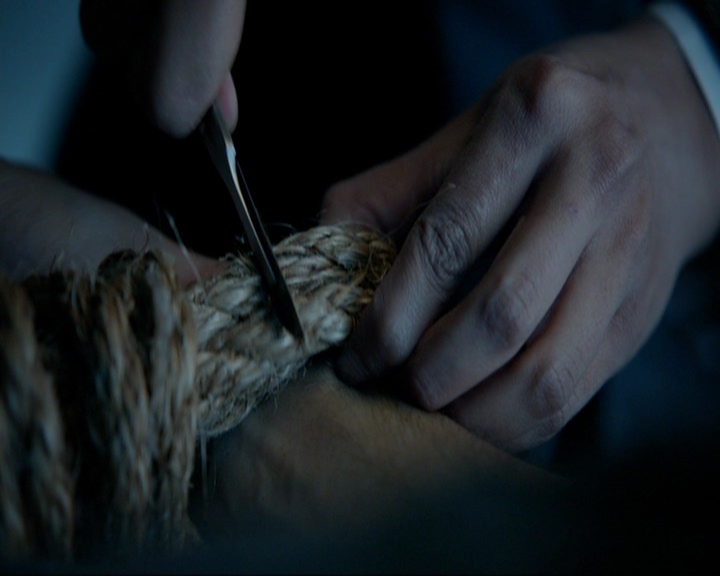VampireDiariesWorld-dot-nl_7x14MoonlightOnTheBayou0228.jpg