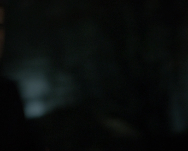 VampireDiariesWorld-dot-nl_7x14MoonlightOnTheBayou1733.jpg