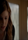 VampireDiariesWorld-dot-nl_7x14MoonlightOnTheBayou0060.jpg