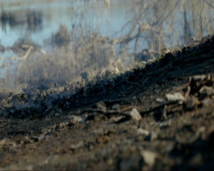 VampireDiariesWorld-dot-nl_7x15IWouldForYou0004.jpg
