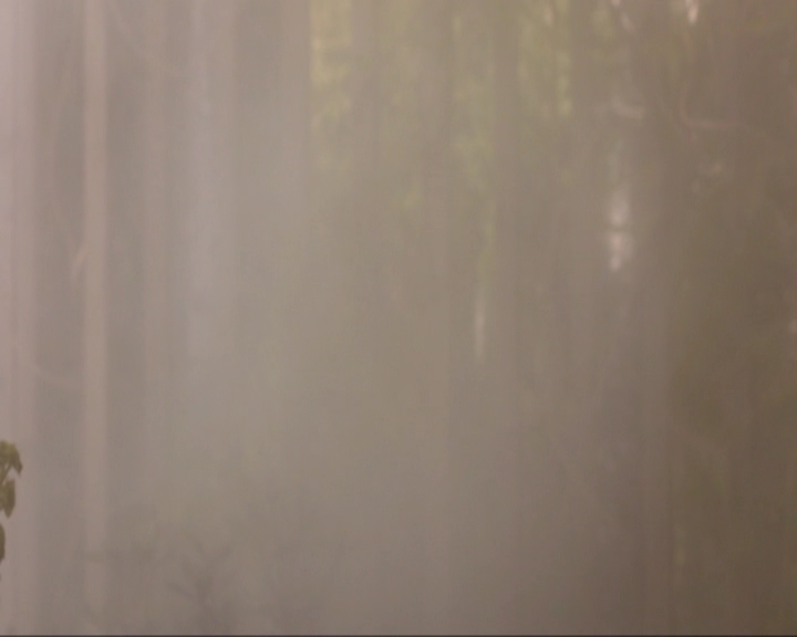 VampireDiariesWorld-dot-nl_7x15IWouldForYou0577.jpg