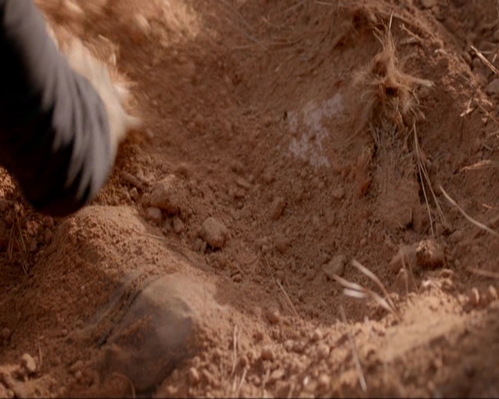 VampireDiariesWorld-dot-nl_7x15IWouldForYou1203.jpg