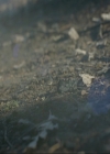 VampireDiariesWorld-dot-nl_7x15IWouldForYou0002.jpg