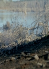 VampireDiariesWorld-dot-nl_7x15IWouldForYou0005.jpg