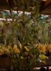 VampireDiariesWorld-dot-nl_7x15IWouldForYou0510.jpg