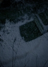 VampireDiariesWorld-dot-nl_7x17IWentToTheWoods1914.jpg