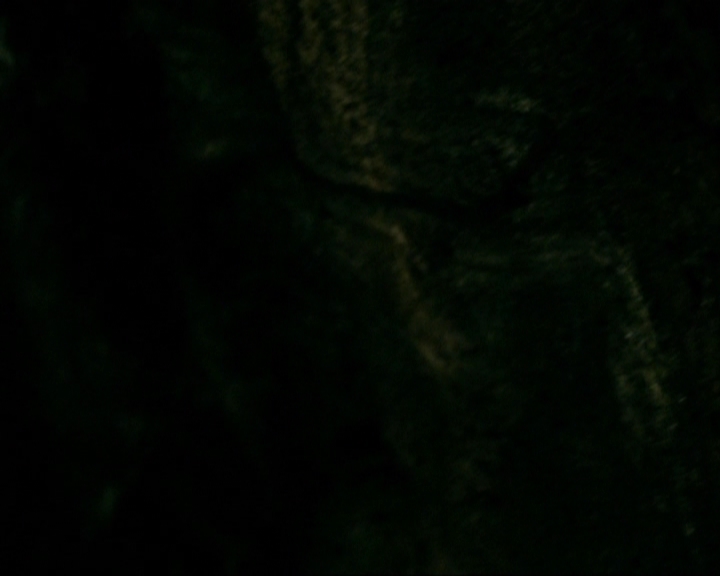 VampireDiariesWorld-dot-nl_7x20KillEmAll0081.jpg