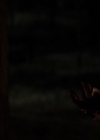 Filename=VampireDiariesWorld-dot-nl_7x20KillEmAll2190.jpg
Filesize=143KiB
Dimensions=720x576
Date added=Nov 12, 2016 VampireDiariesWorld-dot-nl_7x20KillEmAll2190.jpg
