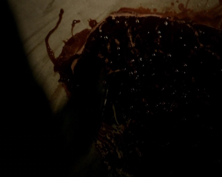 VampireDiariesWorld-dot-nl_7x22GodsAndMonsters2287.jpg