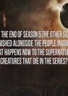 VampireDiariesWorld-dot-nl_S7-dvdextra-2015ComicConPanel0957.jpg