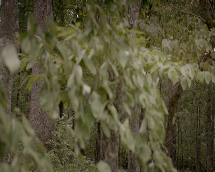 VampireDiaries-dot-nl_VampireDiaries-8x01HelloBrother0739.jpg