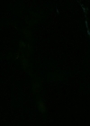 VampireDiaries-dot-nl_VampireDiaries-8x01HelloBrother0838.jpg