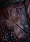 Filename=VampireDiaries-dot-nl_VampireDiaries-8x01HelloBrother2261.jpg
Filesize=258KiB
Dimensions=720x576
Date added=Apr 29, 2018 VampireDiaries-dot-nl_VampireDiaries-8x01HelloBrother2261.jpg