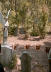 VampireDiaries-dot-nl_VampireDiaries-8x05ComingHomeWasAMistake0480.jpg