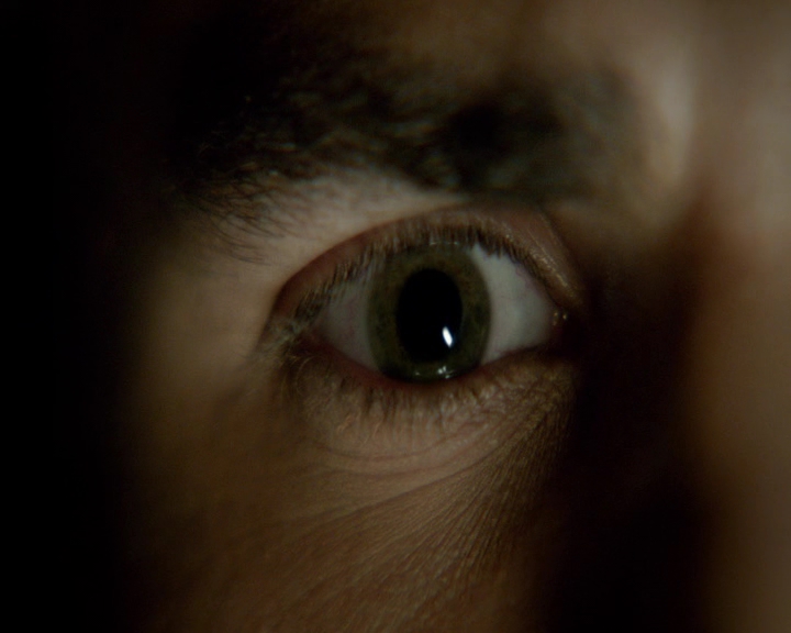 VampireDiaries-dot-nl_VVampireDiaries-dot-nl_VampireDiaries-8x08WeHaveHistoryTogether0073.jpg