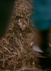 VampireDiaries-dot-nl_VVampireDiaries-dot-nl_VampireDiaries-8x08WeHaveHistoryTogether1065.jpg