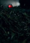 VampireDiaries-dot-nl_VVampireDiaries-dot-nl_VampireDiaries-8x08WeHaveHistoryTogether1929.jpg