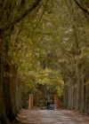 Filename=VampireDiaries-dot-nl_VampireDiaries-8x11YouMadeAChoiceToBeGood2206.jpg
Filesize=354KiB
Dimensions=720x576
Date added=May 10, 2018 VampireDiaries-dot-nl_VampireDiaries-8x11YouMadeAChoiceToBeGood2206.jpg