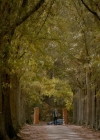 Filename=VampireDiaries-dot-nl_VampireDiaries-8x11YouMadeAChoiceToBeGood2207.jpg
Filesize=350KiB
Dimensions=720x576
Date added=May 10, 2018 VampireDiaries-dot-nl_VampireDiaries-8x11YouMadeAChoiceToBeGood2207.jpg