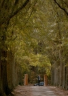 Filename=VampireDiaries-dot-nl_VampireDiaries-8x11YouMadeAChoiceToBeGood2208.jpg
Filesize=347KiB
Dimensions=720x576
Date added=May 10, 2018 VampireDiaries-dot-nl_VampireDiaries-8x11YouMadeAChoiceToBeGood2208.jpg