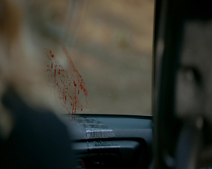 VampireDiaries-dot-nl_VampireDiaries-8x12WhatAreYou1091.jpg