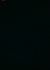 VampireDiaries-dot-nl_VampireDiaries-8x12WhatAreYou0001.jpg