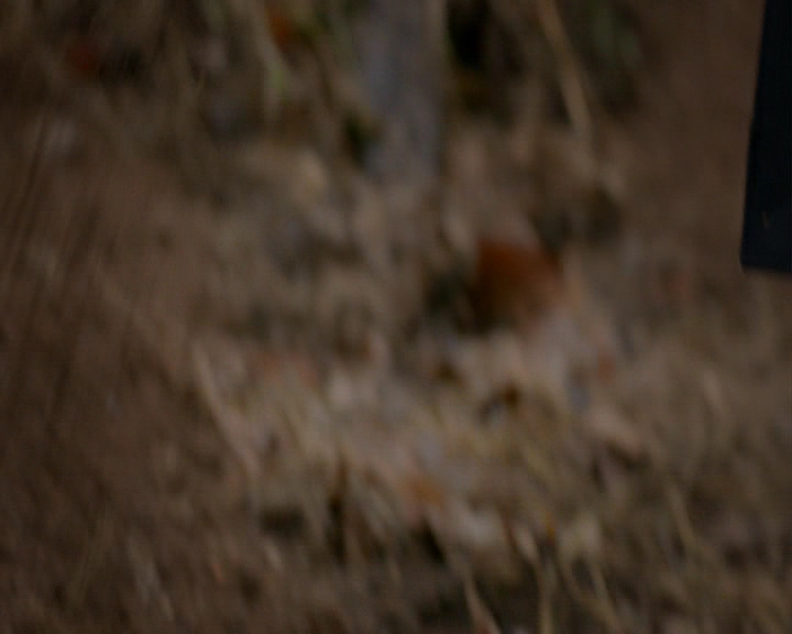 VampireDiaries-dot-nl_VampireDiaries-8x13TheLiesWillCatchUpToYou0820.jpg