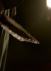 VampireDiaries-dot-nl_VampireDiaries-8x13TheLiesWillCatchUpToYou0141.jpg