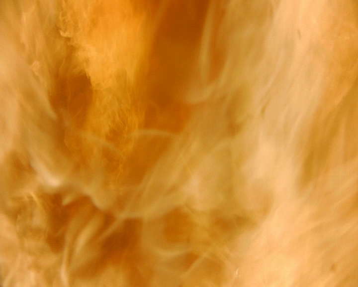 VampireDiaries-dot-nl_VampireDiaries-8x16IWasFeelingEpic1416.jpg VampireDiaries-dot-nl_VampireDiaries-8x16IWasFeelingEpic1416.jpg