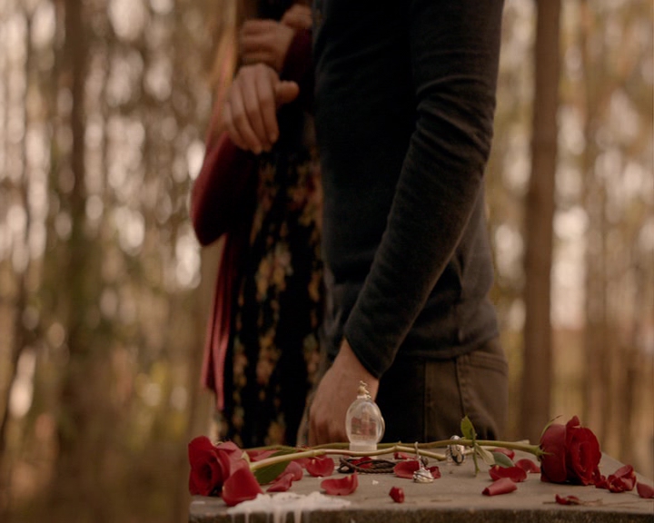 VampireDiaries-dot-nl_VampireDiaries-8x16IWasFeelingEpic2090.jpg