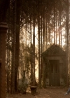 VampireDiaries-dot-nl_VampireDiaries-8x16IWasFeelingEpic2243.jpg