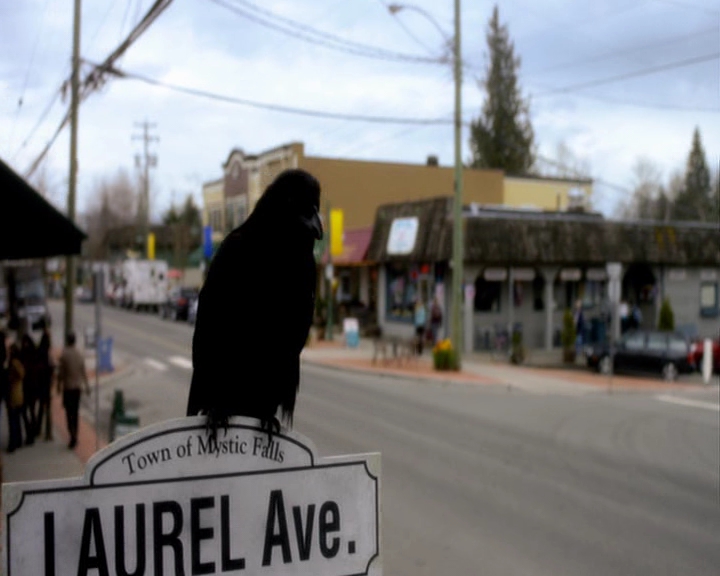 VampireDiaries-dot-nl_VampireDiaries-S8ComeVisitGeorgiaPSA0027.jpg