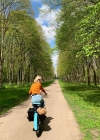 Filename=063.jpg
Filesize=377KiB
Dimensions=1080x1149
Date added=Jul 09, 2019 063.jpg