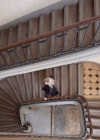 Filename=009.jpeg
Filesize=142KiB
Dimensions=720x1280
Date added=Mar 12, 2024 009.jpeg