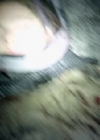 VampireDiariesWorld-dot-nl_Pandemic5048.jpg