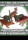 196.jpg