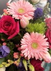 Filename=6-005.jpg
Filesize=229KiB
Dimensions=1080x1080
Date added=Jan 12, 2023 6-005.jpg