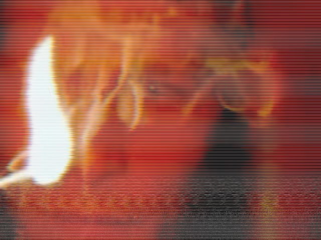 009.jpg