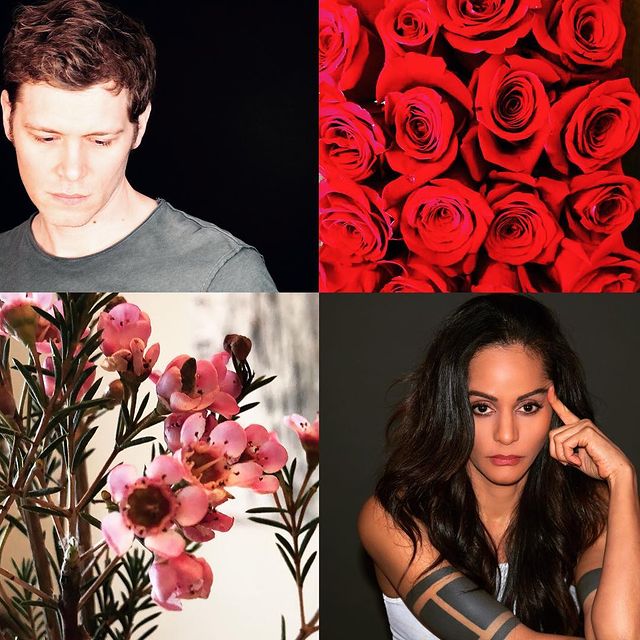 2019-006.jpg 2019-006.jpg