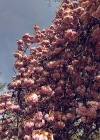 Filename=062.jpg
Filesize=435KiB
Dimensions=1080x1349
Date added=Jul 28, 2019 062.jpg