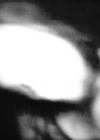 Filename=VampireDiariesWorld-dot-org_ColdHeartedSnake-Remix-Captures00313.png
Filesize=331KiB
Dimensions=1280x720
Date added=Nov 23, 2010 VampireDiariesWorld-dot-org_ColdHeartedSnake-Remix-Captures00313.png
