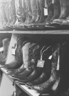 051.jpg