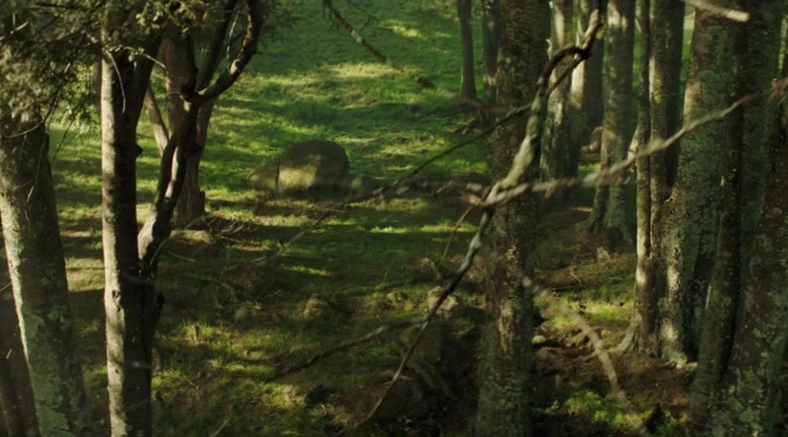 VampireDiariesWorld-dot-nl_TheShannaraChronicles2x02-0064.jpg