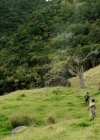 Filename=VampireDiariesWorld-dot-nl_TheShannaraChronicles2x02-0861.jpg
Filesize=261KiB
Dimensions=720x400
Date added=Oct 27, 2017 VampireDiariesWorld-dot-nl_TheShannaraChronicles2x02-0861.jpg