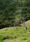 Filename=VampireDiariesWorld-dot-nl_TheShannaraChronicles2x02-0862.jpg
Filesize=260KiB
Dimensions=720x400
Date added=Oct 27, 2017 VampireDiariesWorld-dot-nl_TheShannaraChronicles2x02-0862.jpg