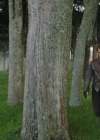 Filename=VampireDiariesWorld-dot-nl_TheShannaraChronicles2x10-0546.jpg
Filesize=559KiB
Dimensions=1280x720
Date added=Dec 20, 2017 VampireDiariesWorld-dot-nl_TheShannaraChronicles2x10-0546.jpg